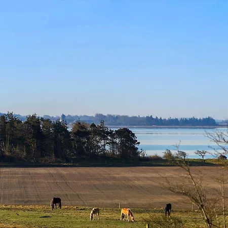 Holiday home Lf888-snedsted-over-reese-5 Snedsted